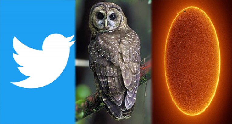 ఈ విషయాలు మీకు తెలుసా... 

