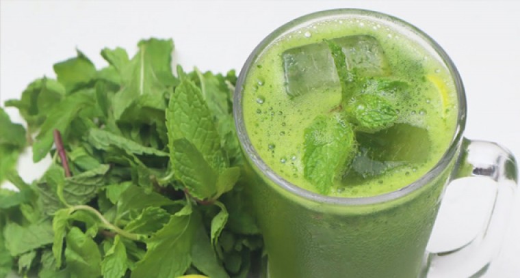 వేసవి తాపానికి పుదీనా... 

