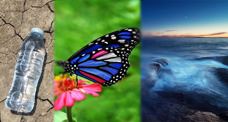 ఈ విషయాలు మీకు తెలుసా...!

