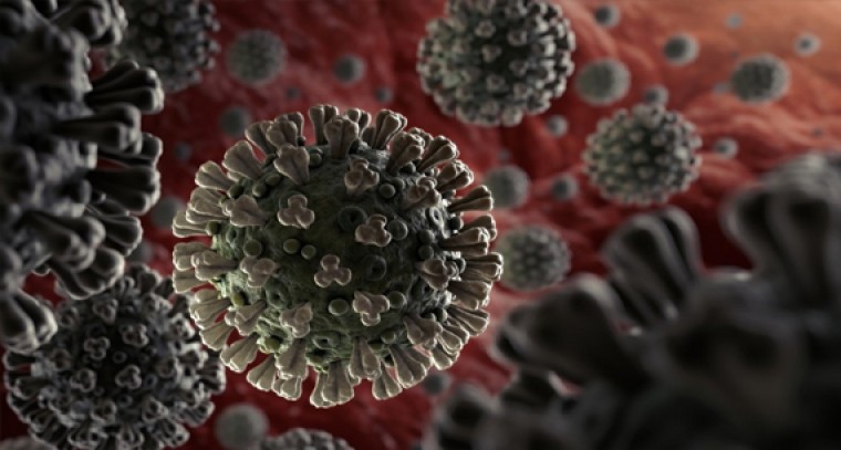  హాట్ సమ్మర్ లో కూల్ కూల్ 'ఫ్రూట్ సలాడ్' ... 

