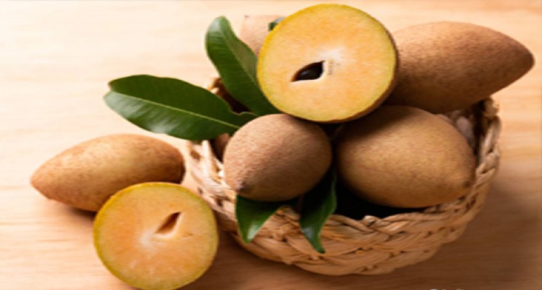 ఆరోగ్యానికి ఎంతో మేలు చేసే సపోటా పండ్లను తింటున్నారా?  

