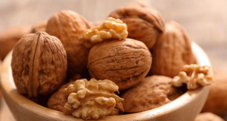 రైతులకు వరంగా వాల్‌నట్ సాగు.. తక్కువ పెట్టుబడితో ఎక్కువ సంపాదన