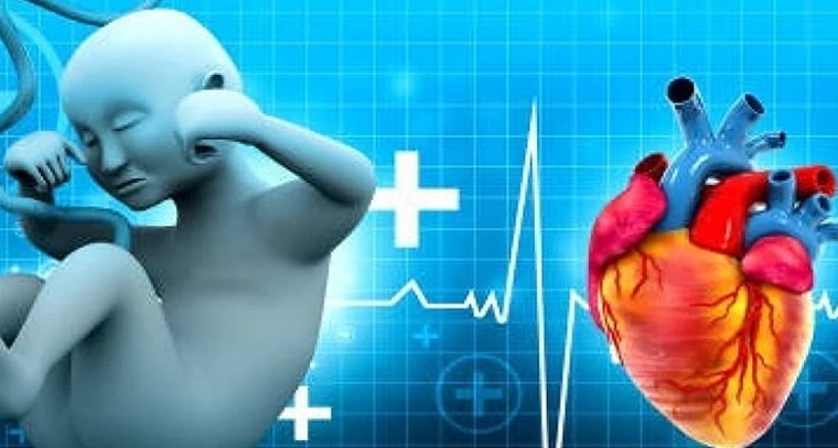 గర్భకాలంలో బిడ్డ హృదయస్పందన... ఎందుకు మౌనంగా మారుతుంది? తల్లుల అలర్ట్!

