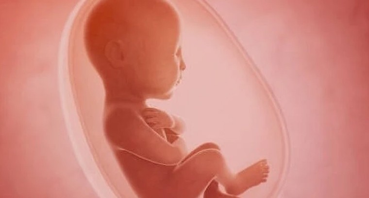 గర్భకాలంలో పిండం ఆరోగ్య పరిశీలన.. ముఖ్య జాగ్రత్తలు

