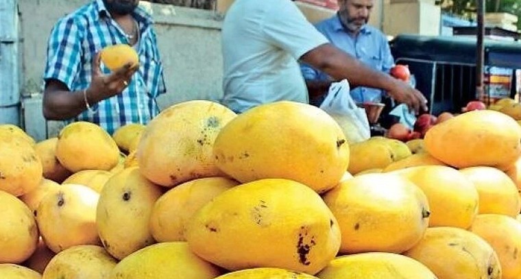 అన్ సీజన్‌లోనే పలకరిస్తున్న మామిడి..  మార్కెట్లోకి ముందే వచ్చిన 'బంగినపల్లి'.. కానీ రుచి మాత్రం మాయం!

