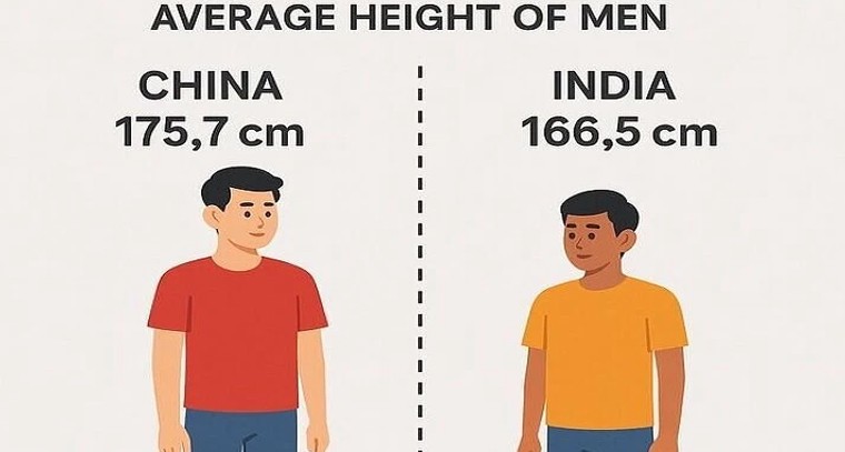 35 ఏళ్లలో 9 సెం.మీ: చైనీయుల ఎత్తు రహస్యం.. భారత్‌లో పెరుగుతున్న 'మరగుజ్జు' భయం, ఎందుకిలా?

