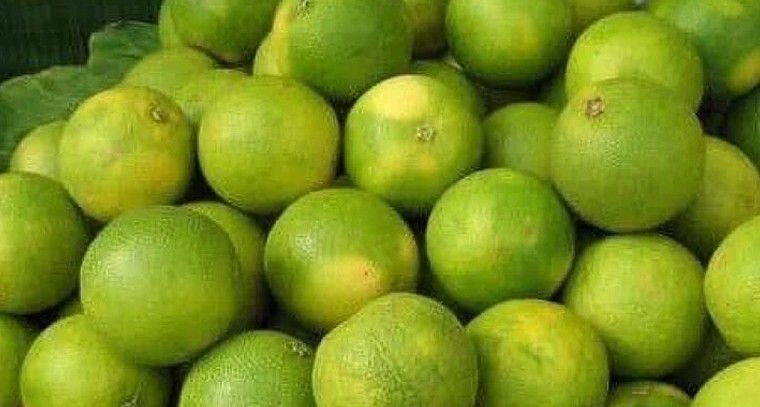 ఆరోగ్య సిరి 'బత్తాయి'.. రోజూ ఒక గ్లాస్ జ్యూస్‌తో పొందే అద్భుత ప్రయోజనాలివే!

