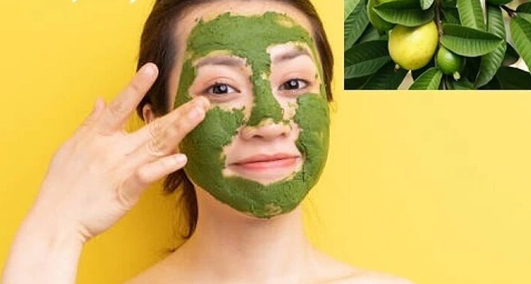 జామ ఆకులతో అద్భుత ప్రయోజనాలు.. ఆరోగ్యం మరియు మెరిసే చర్మం కోసం చిట్కాలు!

