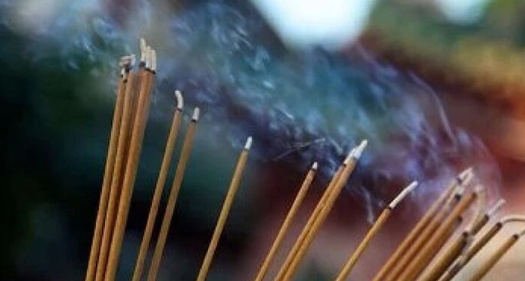 దోమల అగరబత్తీలో రుచి చూస్తే ప్రాణం పోతుందా? స్లీప్‌వెల్‌లో విషం బయటపడింది!

