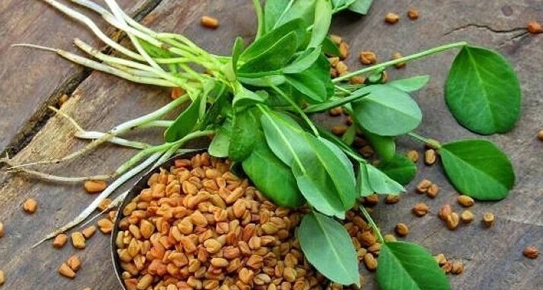 మెంతులు.. ఆరోగ్యానికి అద్భుతం కానీ గర్భిణులకు ప్రమాద సంకేతం!

