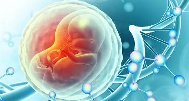 టిఫా స్కాన్.. గర్భస్రావి శిశువు ఆరోగ్యానికి అద్దం పట్టే ముఖ్య పరీక్ష

