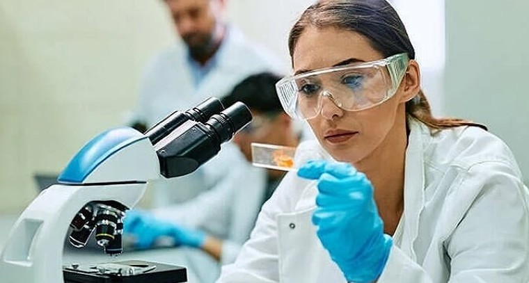 CSIR-CDRIలో 44 టెక్నికల్ పోస్టుల భర్తీ.. ఎల్లుండే దరఖాస్తుకు ఆఖరు తేదీ!

