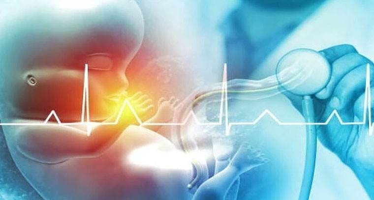 ప్రెగ్నెన్సీలో బిడ్డ గుండె చప్పుడు.. ఎప్పుడు వినిపిస్తుంది, ఏమి చేయాలి?

