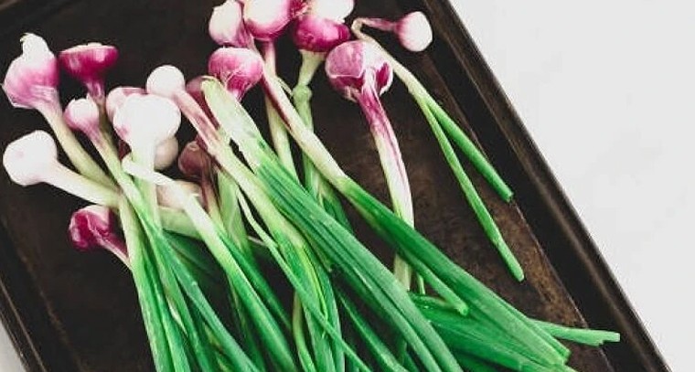 ఆరోగ్యానికి సిరిసంపద 'ఉల్లికాడలు'.. మహిళల ఎముకల పుష్టికి, క్యాన్సర్ నివారణకు అద్భుత ఔషధం!

