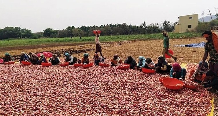 ఏపీ ఉల్లి రైతులకు ఊరట.. రూ. 128 కోట్ల నష్టపరిహారం విడుదల

