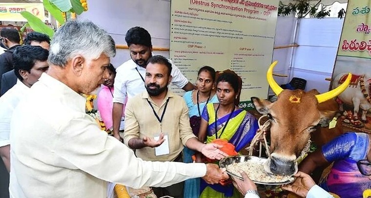 తెలుగు లోగిళ్లలో భోగి వెలుగులు: సీఎం చంద్రబాబు శుభాకాంక్షలు

