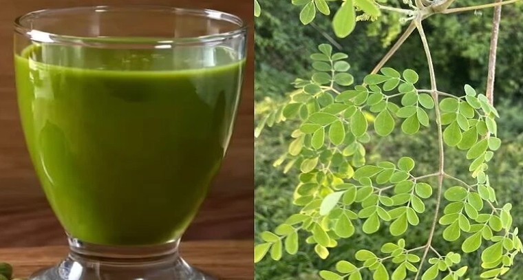 మునగాకు కషాయం.. ఆయుర్వేద రహస్యంతో ఆరోగ్య సమృద్ధి

