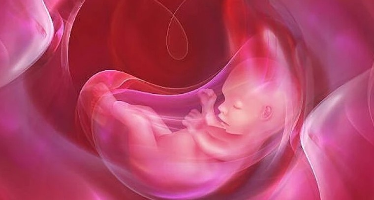 అబార్షన్ తర్వాత త్వరగా కోలుకోవాలంటే.. పాటించాల్సిన ముఖ్యమైన సూత్రాలు!

