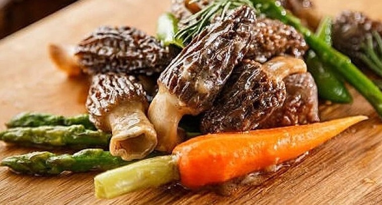 మోరెల్ పుట్టగొడుగులు.. ప్రకృతి ఇచ్చిన ఆరోగ్య నిధి

