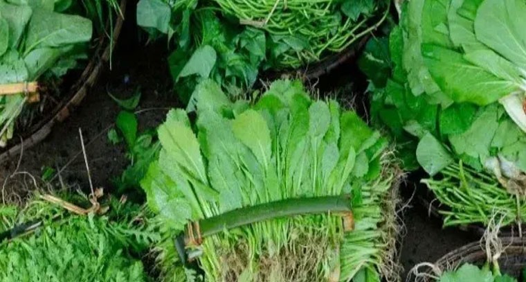 శాకాహారులకు ఈ ఆకుకూరలతో విటమిన్ B12