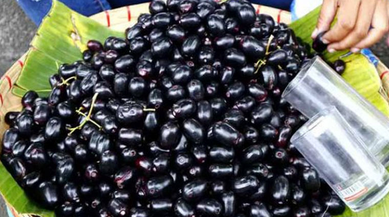 ఆరోగ్యప్రదాయిని అల్ల నేరేడు పండు