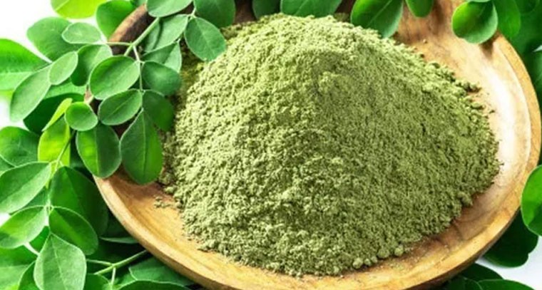 యాంటీఆక్సిడెంట్ల లోపానికి మునగాకు పొడితో పరిష్కారం!