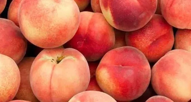 పీచు పండుతో కలిగే ఆరోగ్య ప్రయోజనాలు ఇవే!