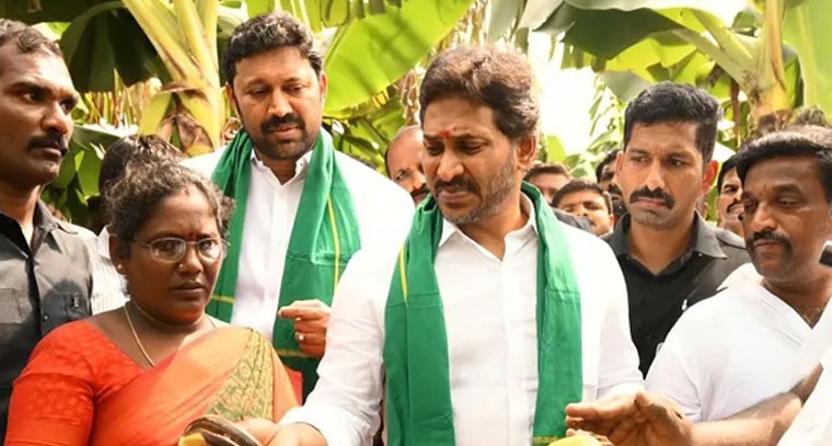 అరటి రైతుల బాధలు చూసైనా ప్రభుత్వానికి బుద్ధిరావాలి: జగన్