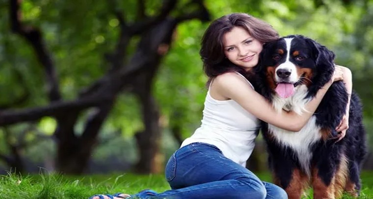 కుక్కల గురించి ఈ ఆసక్తికర విషయాలు తెలుసా?

