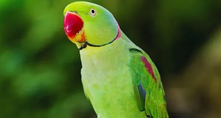 120కి.మీ మైలేజ్.. రూ.1,250కే బుకింగ్