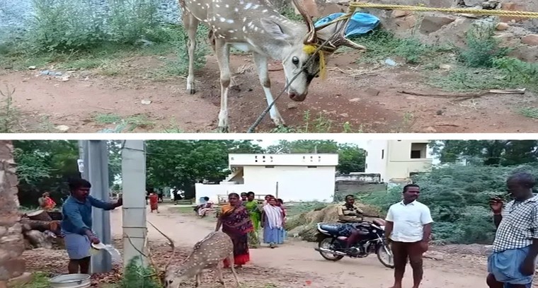 సరికొత్త కార్ విడుదల చేసిన బీఎండబ్ల్యూ