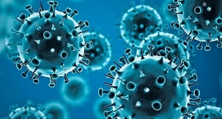 నేటి నుంచి ధర్మరాజుల స్వామి బ్రహ్మోత్సవాలు