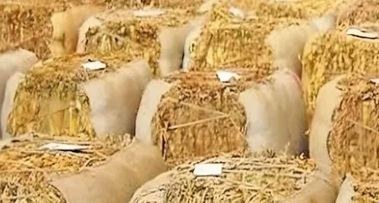 కొండేపిలో అత్యధిక ధర కేజీ రూ. 360

