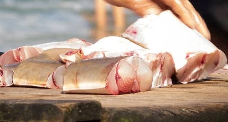 జోసా కౌన్సెలింగ్‌ షెడ్యూల్ విడుదల

