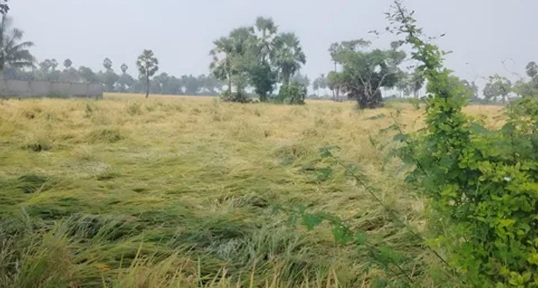 బెల్లంతో ఆ సమస్యలకు చెక్  

