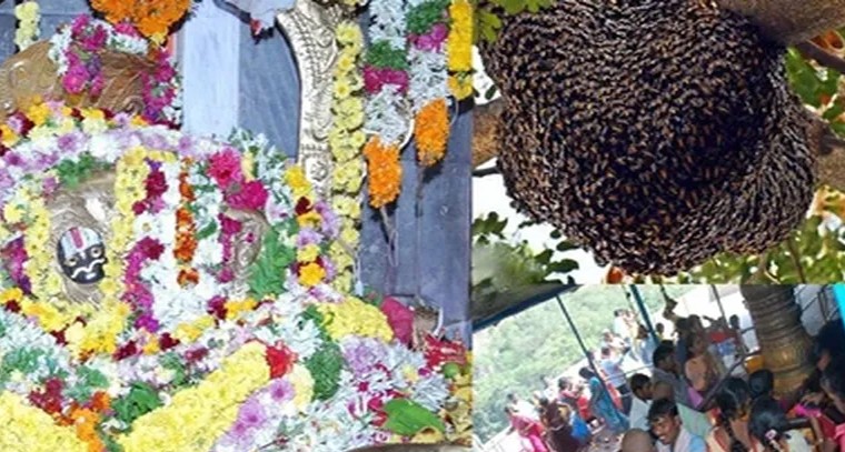 త్రికరణశుద్దిగా ఆలయానికి రాకపోతే తేనెటీగలు తరిమేస్తాయి: భక్తులు

