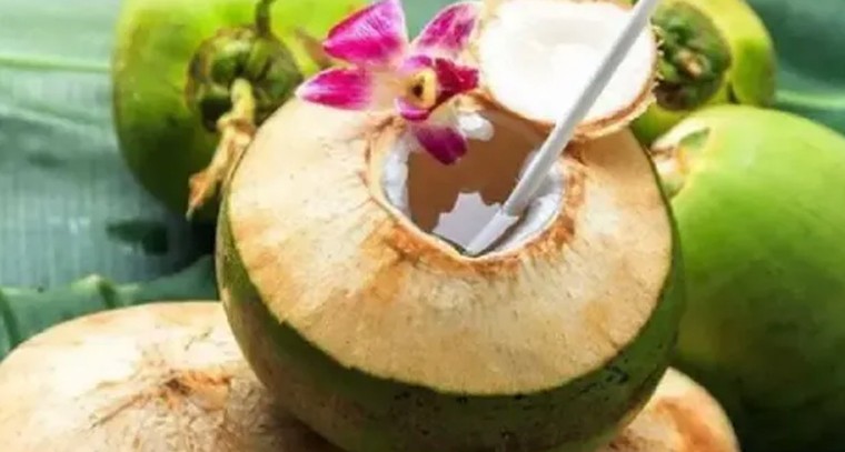 ఖాళీ కడుపుతో కొబ్బరి నీళ్లు తాగితే శరీరం హైడ్రేషన్‌గా ఉంటుంది: నిపుణులు

