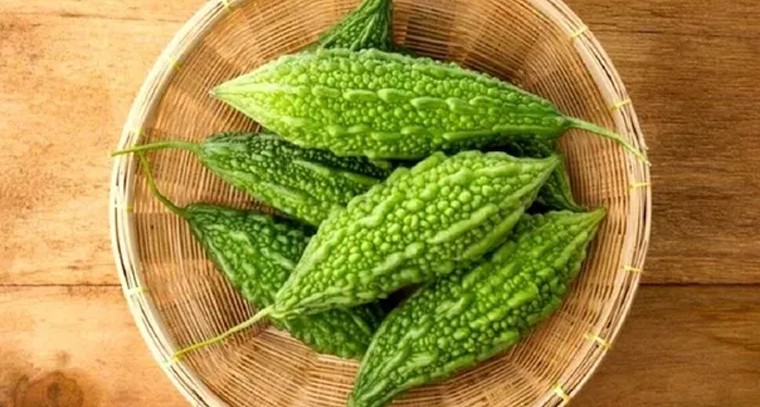 కాకరకాయ తిన్న తర్వాత వీటిని తినకూడదు.. ఆరోగ్య నిపుణుల సూచనలు

