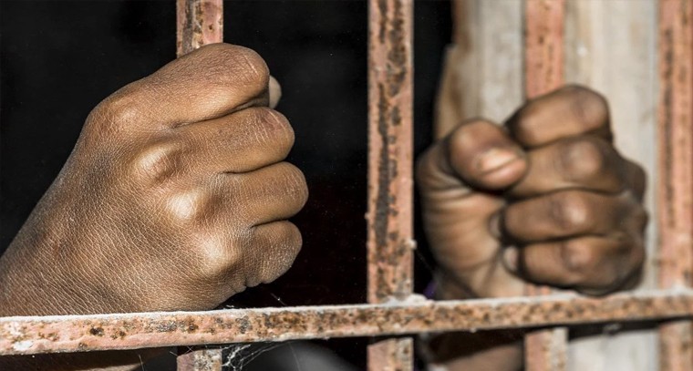 ఉసిరి గింజలతో కలిగే ఆరోగ్య ప్రయోజనాలివే