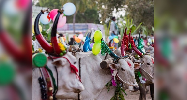 ముస్తాబైన కోటప్పకొండ