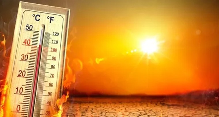 డిప్లొమా అర్హతతో NTPCలో 114 ఉద్యోగాలు

