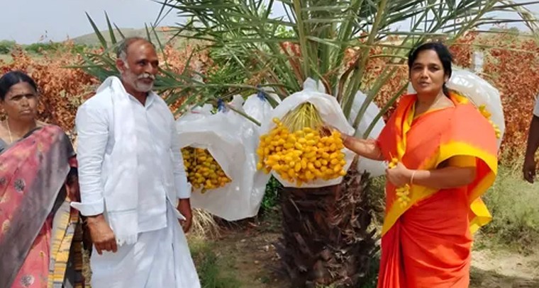 ఎఫ్‌ఆర్‌ఓ మెయిన్స్ పరీక్షల షెడ్యూల్ విడుదల

