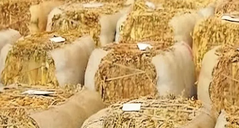 పొగాకు సరాసరి ధర కేజీ రూ. 305. 80

