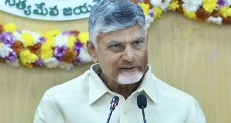 పెట్టుబడులే లక్ష్యంగా ఢిల్లీకి చంద్రబాబు.. అంతర్జాతీయ దిగ్గజ సంస్థలతో కీలక ఒప్పందాలు

