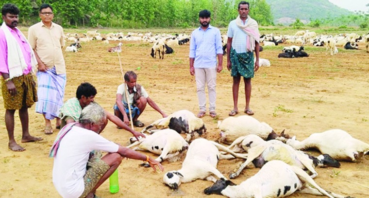 ఎప్పటికీ పేలని వాటర్‌ బ్యాటరీలు

