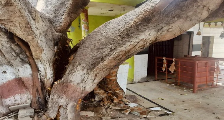 UPSC మెయిన్స్‌ ఫలితాల విడుదల

