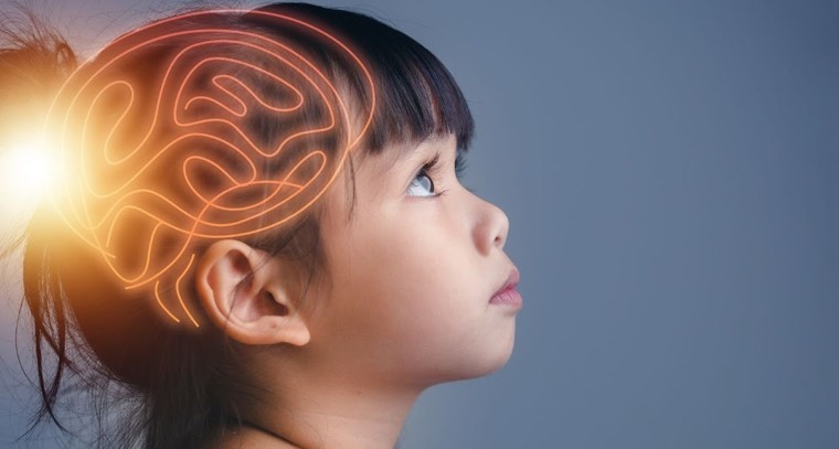 ఆ రేణువులతో పిల్లల జ్ఞాపకశక్తికి ప్రమాదం..!

