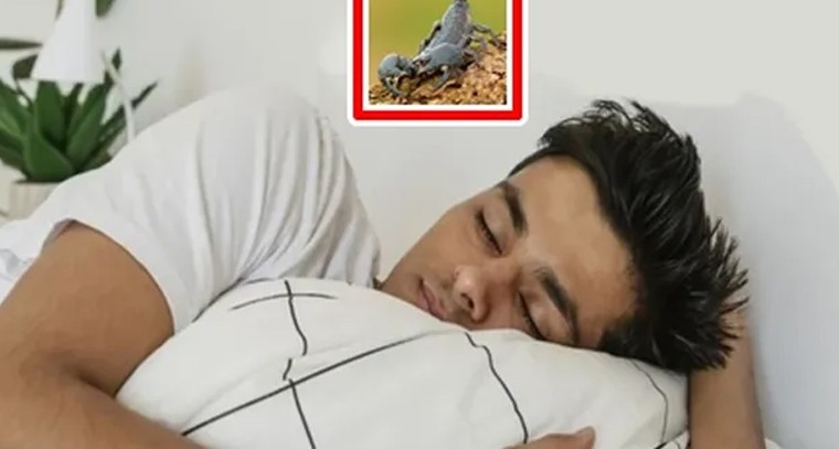 నిరంతర చండీ హోమం ప్రారంభం