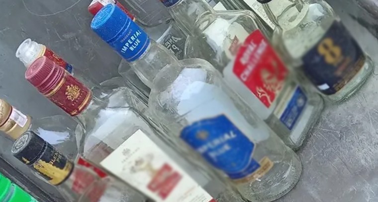 బొప్పాయిలో పుష్కలంగా పోషకాలు