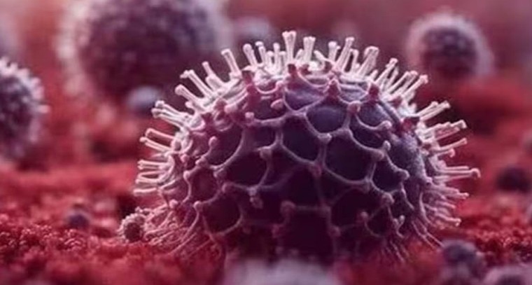 ఆసియా క్రీడల్లో భారత్‌కు తొలి స్వర్ణం

